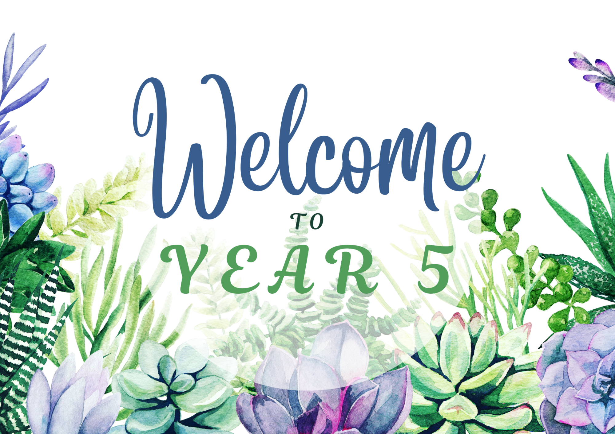 Banner with the text “Welcome to Year 5” in blue and green, surrounded by watercolor-style green leaves and purple succulents.